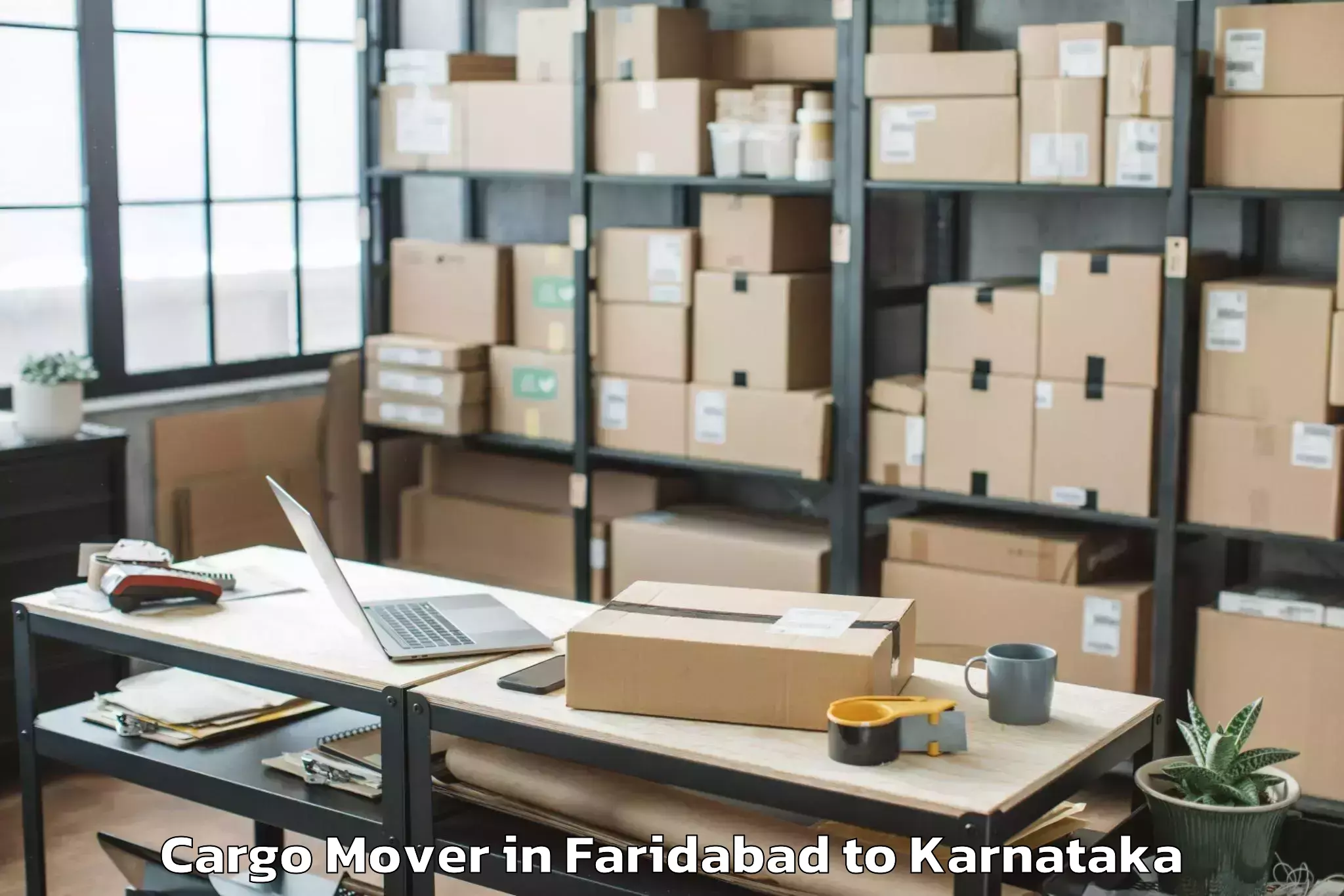 Top Faridabad to Koppa Cargo Mover Available